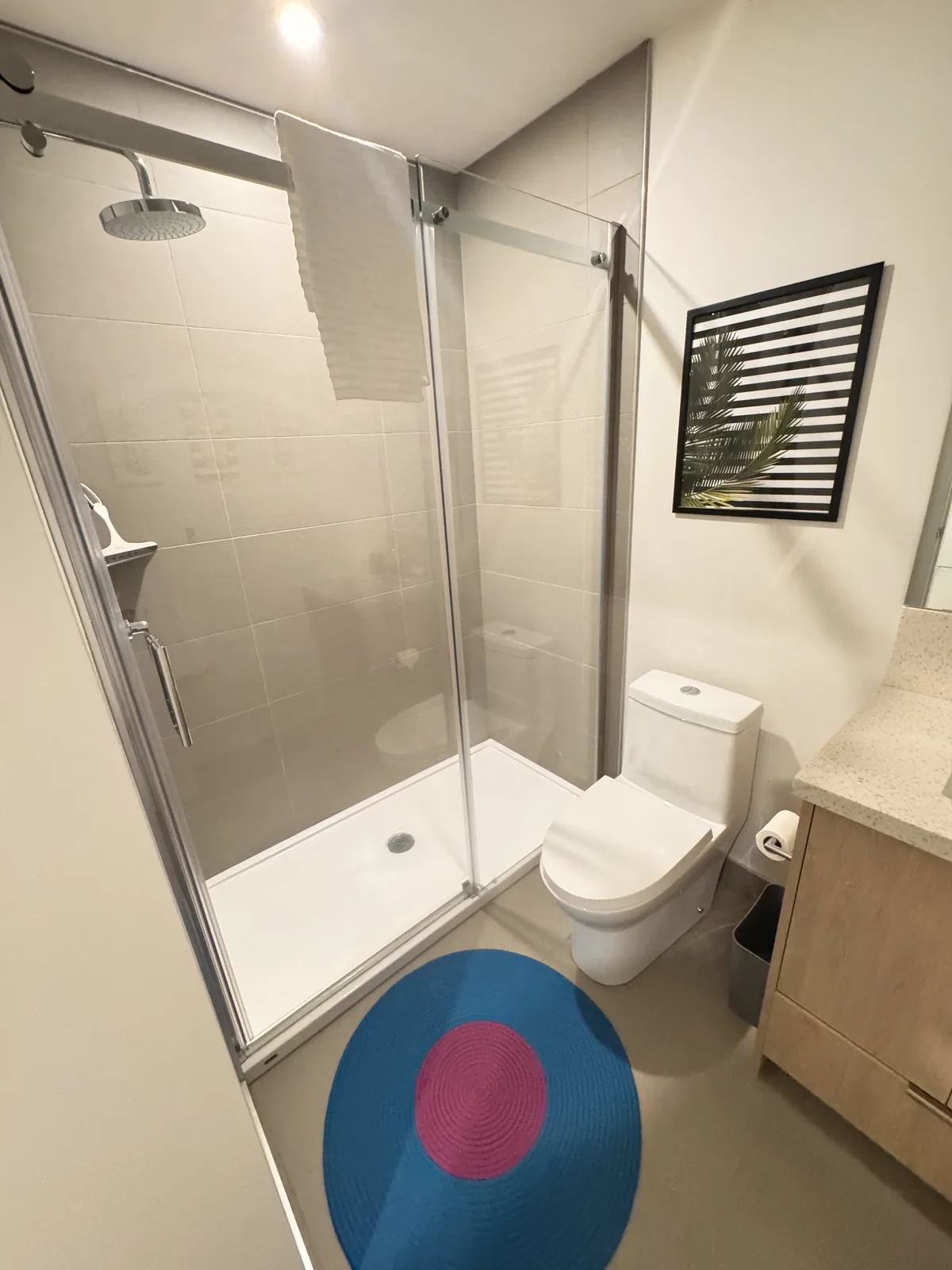 Private bathroom with walk-in shower