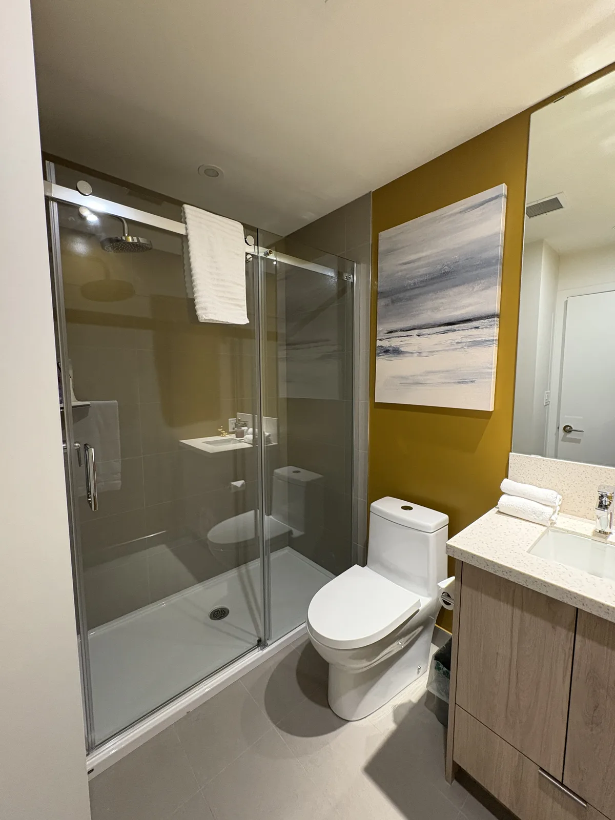 Walk-in glass shower